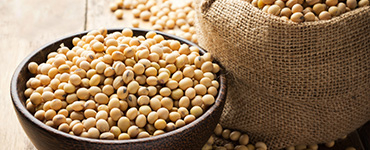 Soy beans in a bowl